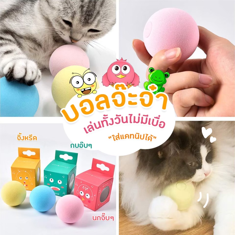 boomboom-ของเล่นแมว-ของเล่นสัตว์เลี้ยง-ของเล่นแมวตลก-ทำเสียงสัตว์ได้-ใส่หญ้าชนิดหนึ่งได้