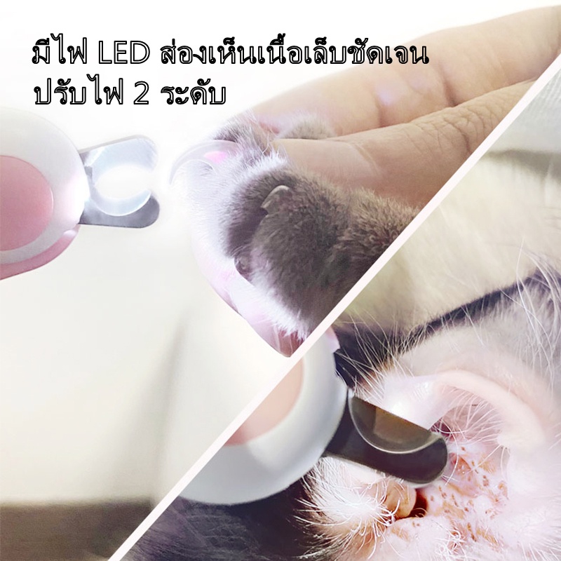 กรรไกรตัดเล็บสัตว์เลี้ยง-led-กรรไกรตัดเล็บแบบมีไฟ-กรรไกรตัดเล็บสำหรับแมว-ป้องกันเลือดออก-pet-nail-clippers