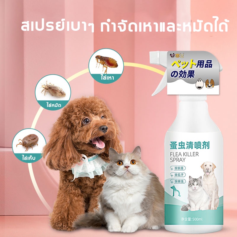 molton-สเปรย์กำจัดเห็บ-500ml-กำจัดเห็บหมัด-กำจัดเห็บหมัดสุนัข-ยากำจัดเห็บหมัดสุนัข-ยาฉีดพ่นเห็บหมัด-สเปรย์เห็บหมัด