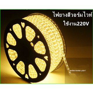 ไฟเส้น ไฟสายยาง Led Stripไฟสายยางท่อแบน 220v 120led/m IP67 ไฟเส้นประดับตกแต่ง (100 เมตร)(แถมฟรี ปลั๊กหัวจ่าย2ตัว)