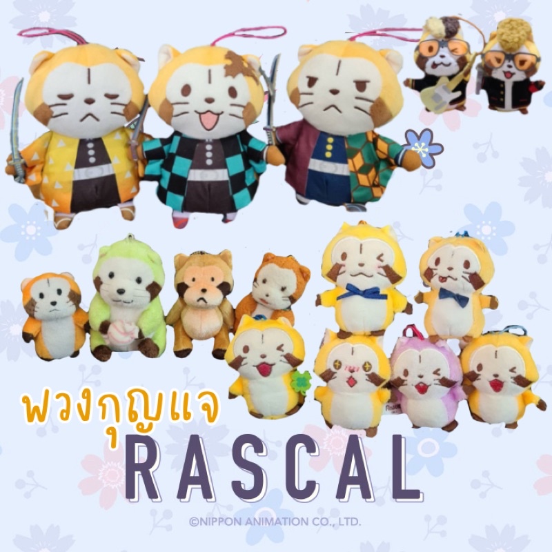 พวงกุญแจ ตุ๊กตาแรคคูน ราสคาล (Rascal) สภาพใหม่ ป้ายห้อยค่ะ งานแท้จาก ...