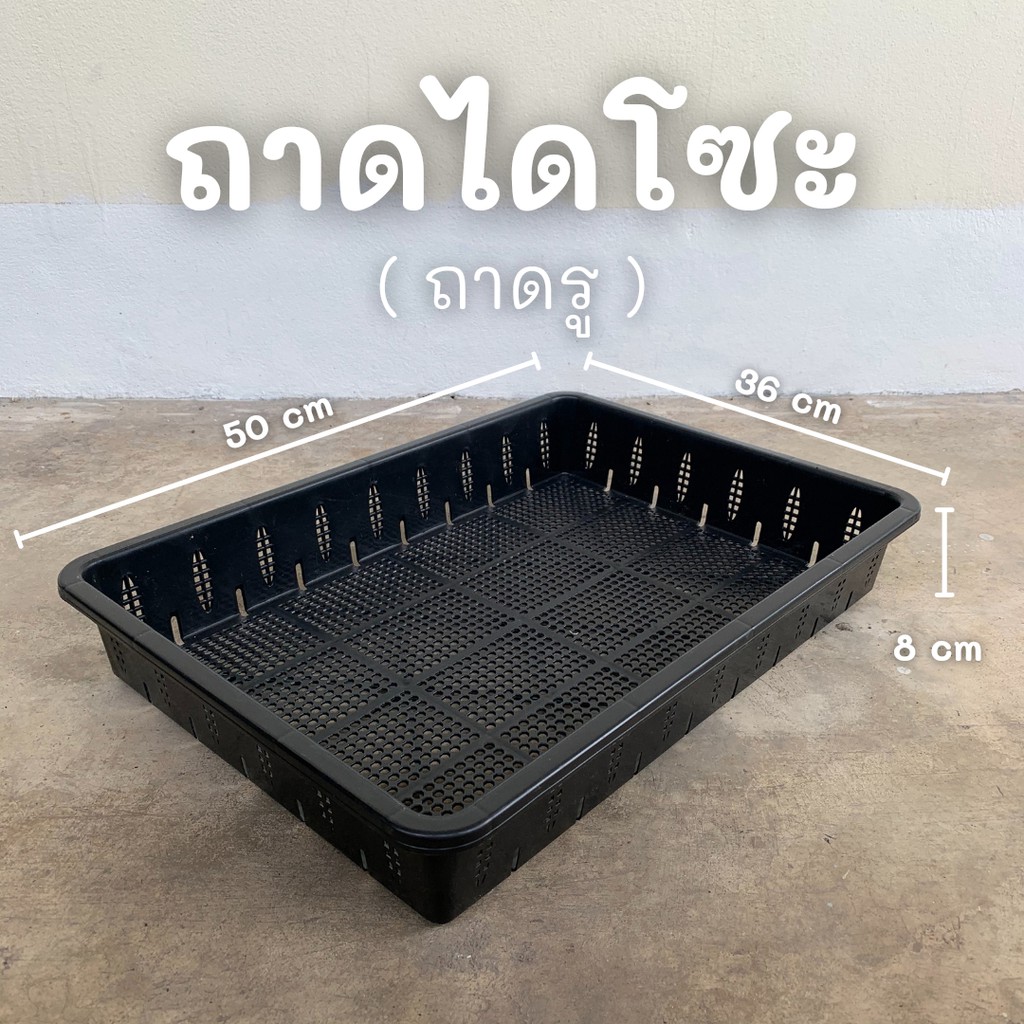 เซ็ตถาดเพาะไดโซะ-พร้อมกระถาง-2-นิ้ว-54-ใบ