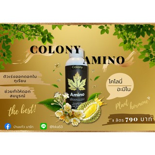 Colony Amino เร่งออกดอก กระตุ้นแตกตาดอก เพิ่มช่อดอก ดอกสมบูรณ์ ช่วยผสมเกสร เปิดตาดอก ขนาด 1000ml.