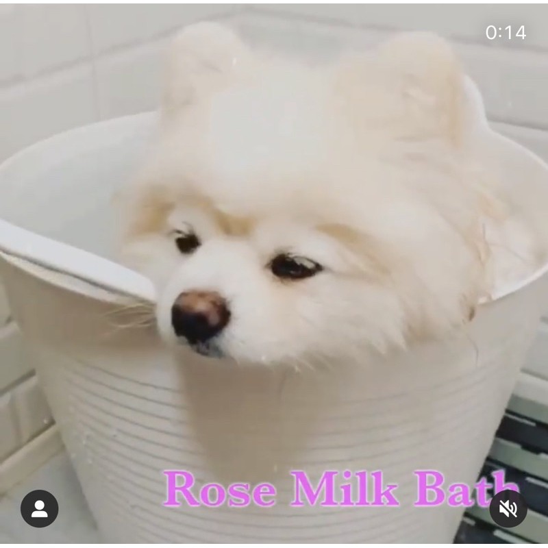 puppy-potion-rose-milk-bath-140ml