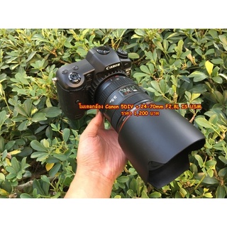 พณ้อบถ่ายสินค้า โมเดลกล้อง Model Canon 5D4 5DIV อุปกรณ์ประกอบฉาก ขนาดเท่ากล้องจริง