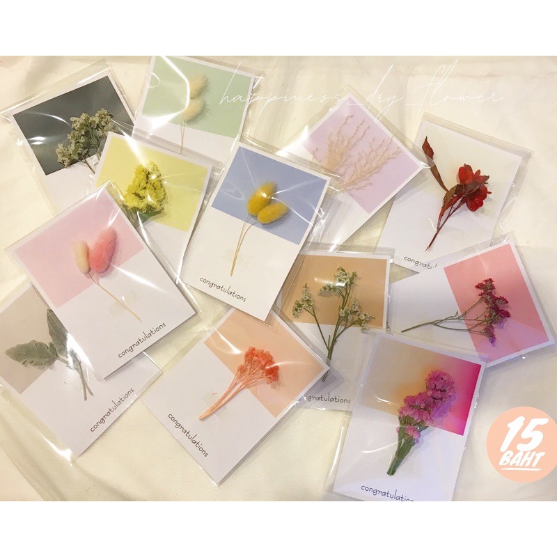 ภาพหน้าปกสินค้าการ์ดปัจฉิมการ์ดดอกไม้แห้งการ์ดเกาหลีสีพาสเทล(รับใบไหนรบกวนแจ้งแม่ค้าในแชททีนะค้า)