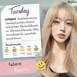 ภาพขนาดย่อของภาพหน้าปกสินค้าถูกสุดในไทย Berina เบอริน่า ครีมเปลี่ยนสีผม สีย้อมผม ปิดผมขาว ปิดหงอก สีแฟชั่น Berina Hair Color จากร้าน chutima.online บน Shopee ภาพที่ 4