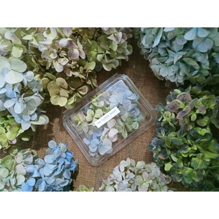 🌼 [CODพร้อมส่ง] ดอกไฮเดรนเยียแห้ง สีธรรมชาติ 🌼✒