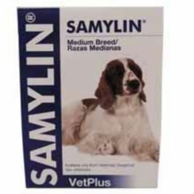 samylin-medium-breed-อาหารเสริมบำรุงตับแบบผงโรยอาหาร-อาหารเสริมบำรุงตับสุนัข-ทะเบียนอาหารสัตว์-0208540026