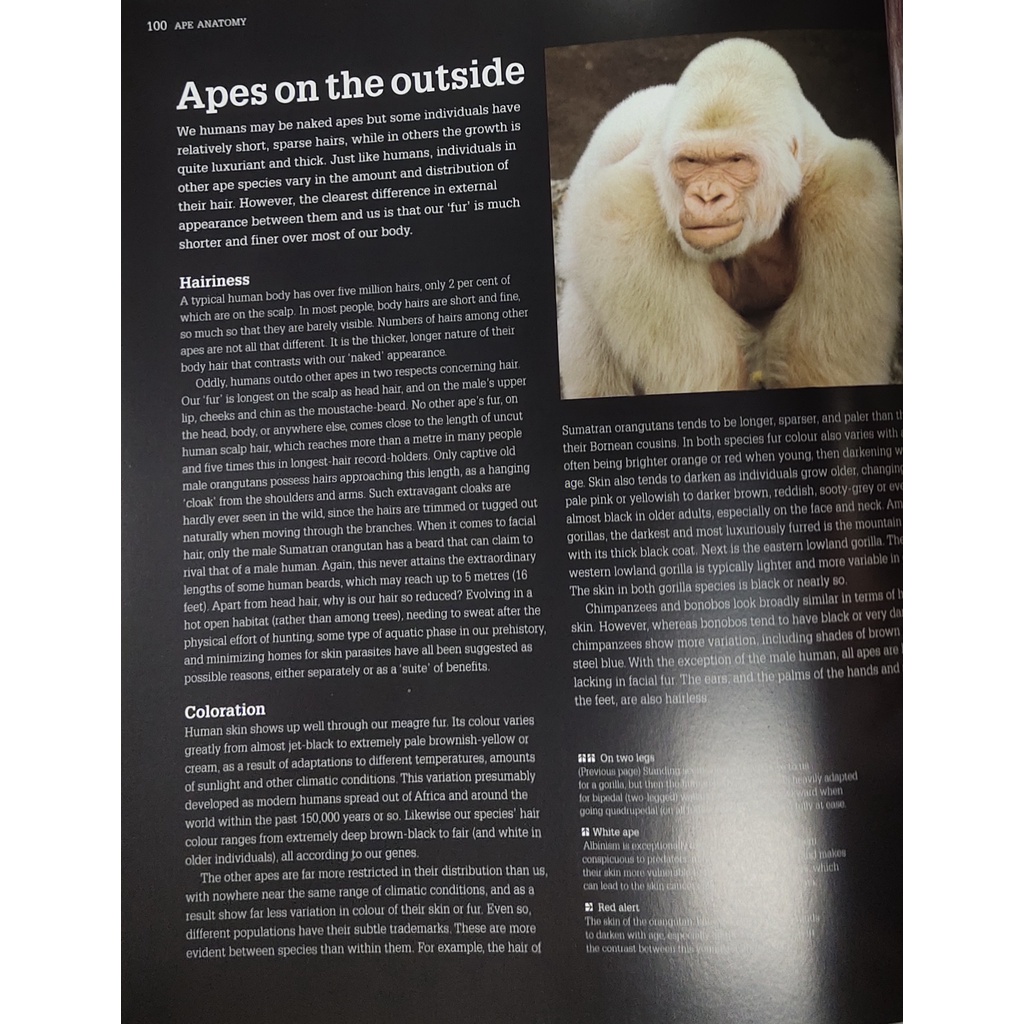 หนังสือ-ประวัติ-ธรรมชาติ-ลิง-ภาษาอังกฤษ-planet-ape-288page