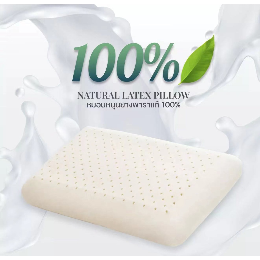 หมอนยางพารา-เชียงใหม่-natural-latex-pillow-chiangmai