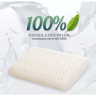 🛌 หมอนยางพารา เชียงใหม่ Natural Latex Pillow Chiangmai🛌