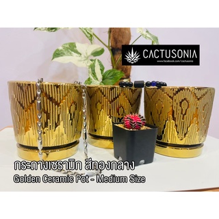 กระถางต้นไม้ เซรามิก สีทอง ขนาดกลาง / Golden Modern Ceramic Pot - Medium Size