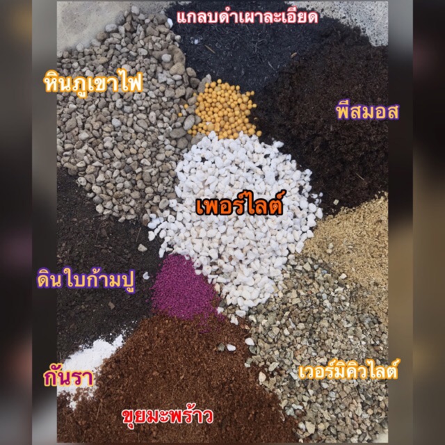 ดินปลูกกระบองเพชร-ดินปลูกแคคตัส-ดินผสมพร้อมปลูก-ส่วนผสมกว่า-10-ชนิดสูตรบ้านสวนแม่ตุ๊กตา