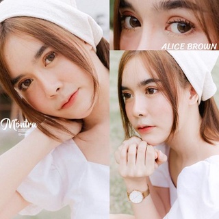 คอนแทคเลนส์🌈Alice🌈 Brown/Gray (Montra) ขนาดบิ๊กอาย💖