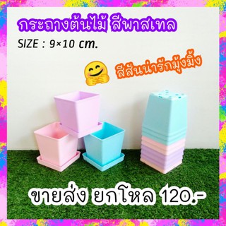 กระถางต้นไม้สีพาสเทลน่ารัก #กระถางพลาสติก ขนาด 9×12 cm. ยกโหล12ชิ้น