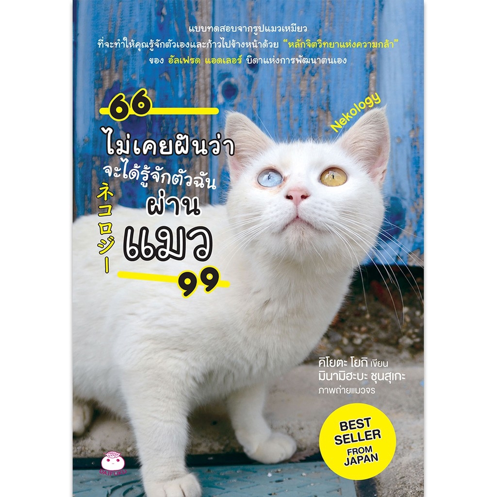 หนังสือ-ไม่เคยฝันว่าจะได้รู้จักตัวฉันผ่านแมว-สำนักพิมพ์-ไดฟุกุ