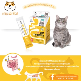 *ท้องเสีย ท้องผูก* Sun Wonder Daily Gut Booster ผงโพรไบโอติกเสริมสมดุลระบบย่อยอาหาร 20 กรัม สำหรับแมว 1 กล่อง