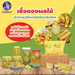 สินค้า หัวเชื้อดองมะม่วง ตรานกแก้ว หัวเชื้อมะม่วงดอง หัวเชื้อดองผลไม้ หัวเชื้อทำมะม่วงดอง 600 กรัม