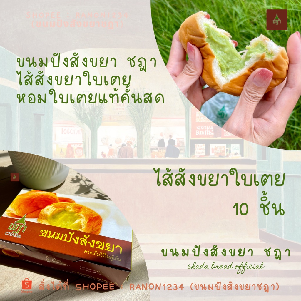 ภาพหน้าปกสินค้าขนมปังสังขยา ชฎา ไส้สังขยาใบเตย  กล่อง 10 ชิ้น  Chada Bread Official  Pandan Coconut Custard Bun จากร้าน ranon1234 บน Shopee