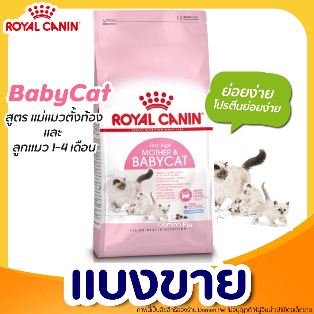 แบ่งขาย-royal-canin-อาหารแมว-แบ่งขาย-สูตรแม่แมวและลูกแมว-g3