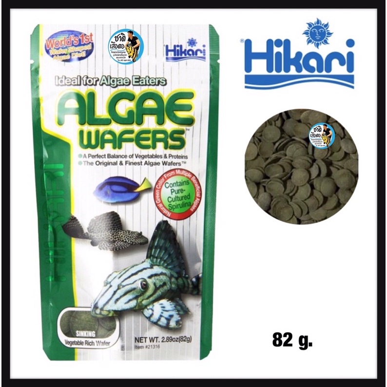 hikari-algae-wafer-อาหารปลา-สำหรับปลากินพืช-กินตะไคร่น้ำ-ปลาแพะ-ปลาหมู-ชนิดแผ่นจมน้ำ