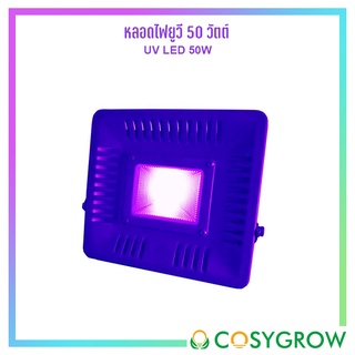 หลอดไฟยูวี 50วัตต์ UV LED 50W ไฟเสริม UV มีขาตั้ง ขนาด 207x187mm.