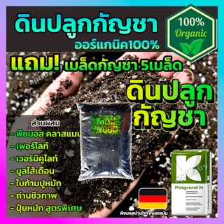 [1KG] ดินปลูกกัญชา กัญชง ดินคุณภาพสูง ออร์แกนิค100% (พีชมอส คลาสแมน / เพอร์ไลท์ /เวอร์มิคูไลท์ / มูลไส้เดือน /ใบก้ามปู)