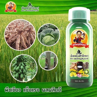 🌱 500ml แพนต้าโกรว์ ตรา พ่อใหญ่สัมฤทธิ์ ปุ๋ยน้ำ ธาตุอาหารเสริม ฮอร์โมนบำรุงพืช
