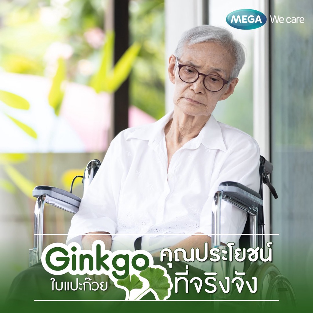 mega-we-care-ginkgo-biloba-60-แคปซูล-จิงโก-บิโลบา-40-มก-ใบแปะก๊วย-บำรุงสมอง-เพิ่มความจำ