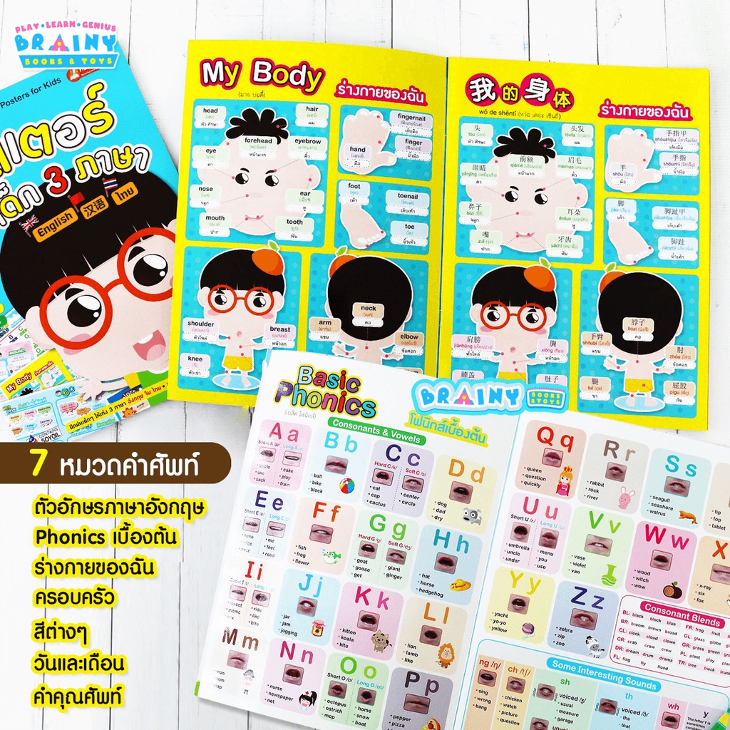 brainytoys-โปสเตอร์เด็ก-3-ภาษา-ฝึกฝนเเก่ง-3-ภาษา-อังกฤษ-จีน-ไทย-ซื้อแยกเล่มได้