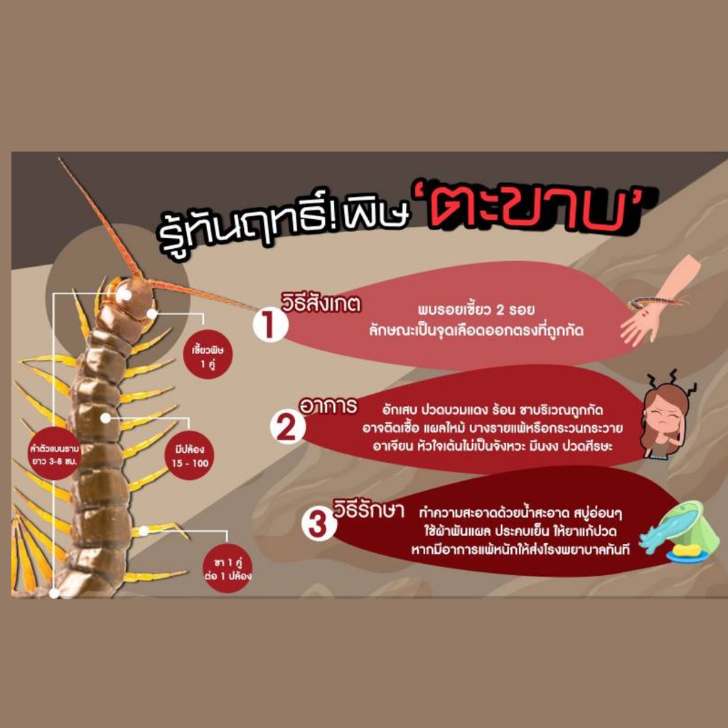 สเปร์ยไล่ตะขาบ-แมงป๋อง-กิ้งกือ-กำจัดตะขาบ-สัตว์มีพิษอื่นๆ-สเปรย์ตะขาบ-สเปร์ยกำจัดตะขาบ-สเปร์ยไล่แมลง