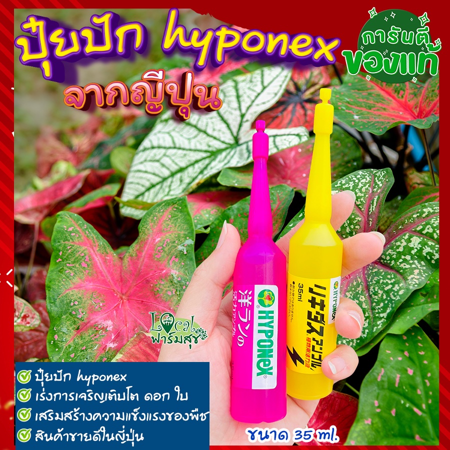 ปุ๋ยน้ำญี่ปุ่น-ปุ๋ยปักhyponex-35ml-ปุ๋ยปักญี่ปุ่น-ปุ๋ยน้ำเร่งโต-เร่งดอก-ปุ๋ยปักต้นไม้-เร่งต้น-เร่งดอก