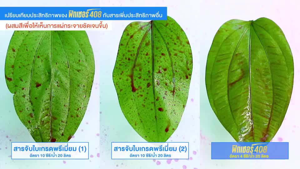 ฟิกเซอร์-408-สารเพิ่มประสิทธิภาพสารเคมี-100ซีซี-ใช้กับน้ำได้-1000-ลิต