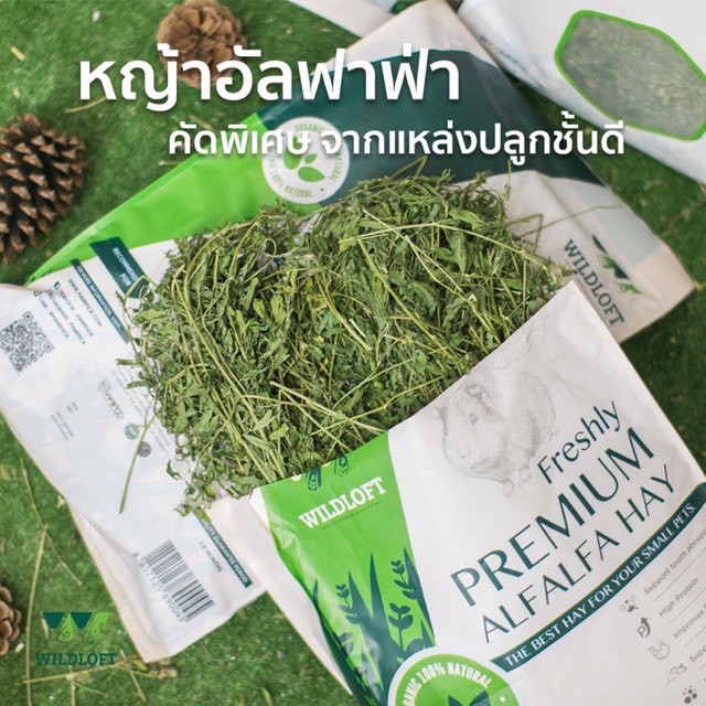 อัลฟาฟ่า-wildloft-premium-alfalfa