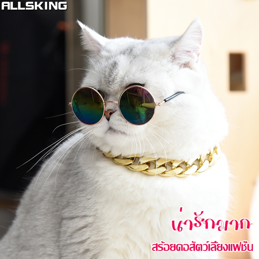 allsking-ปลอกคอแมว-ปลอคอหมา-ปลอกคอสุนัข-สร้อยคอโซ่-สร้อยคอแมว-สร้อยคอหมา-สร้อยคอสุนัข-สร้อยคอ-ปลอกคอ-สำหรับสัตว์เลี้ยง