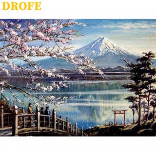 Drofe ( 40x50 ซม . ) ภาพจิตรกรรมสีน้ํามันบนผ้าใบ Diy สําหรับตกแต่งบ้าน