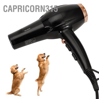 Capricorn315 เครื่องเป่าผมไฟฟ้าอัจฉริยะ 3000W เสียงเบา ปลั๊ก Eu 220V สําหรับสัตว์เลี้ยง