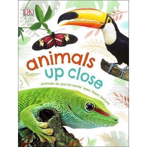 dktoday-หนังสือ-animals-up-close-dorling-kindersley