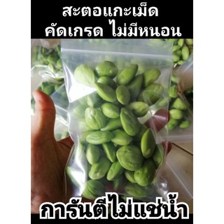 เช็ครีวิวสินค้าสะตอแกะ สะตอฝัก พร้อมส่ง​‼️พุธ7มิย66 การันตีไม่ผ่านการแช่น้ำ ครึ่งโล190บาท ขีด45บาท  สะตอเม็ด สะตอฝัก #สะตอshopee