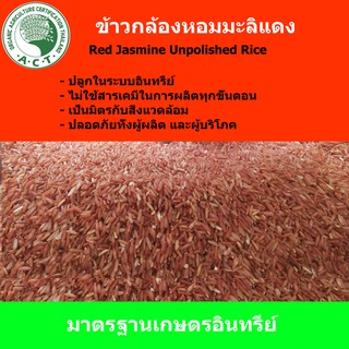 ข้าวกล้องหอมมะลิแดง(Red Jasmine Unpolished Rice)ข้าวอินทรีย์ ยโสธร yasothonปลูกในระบบอินทรีย์