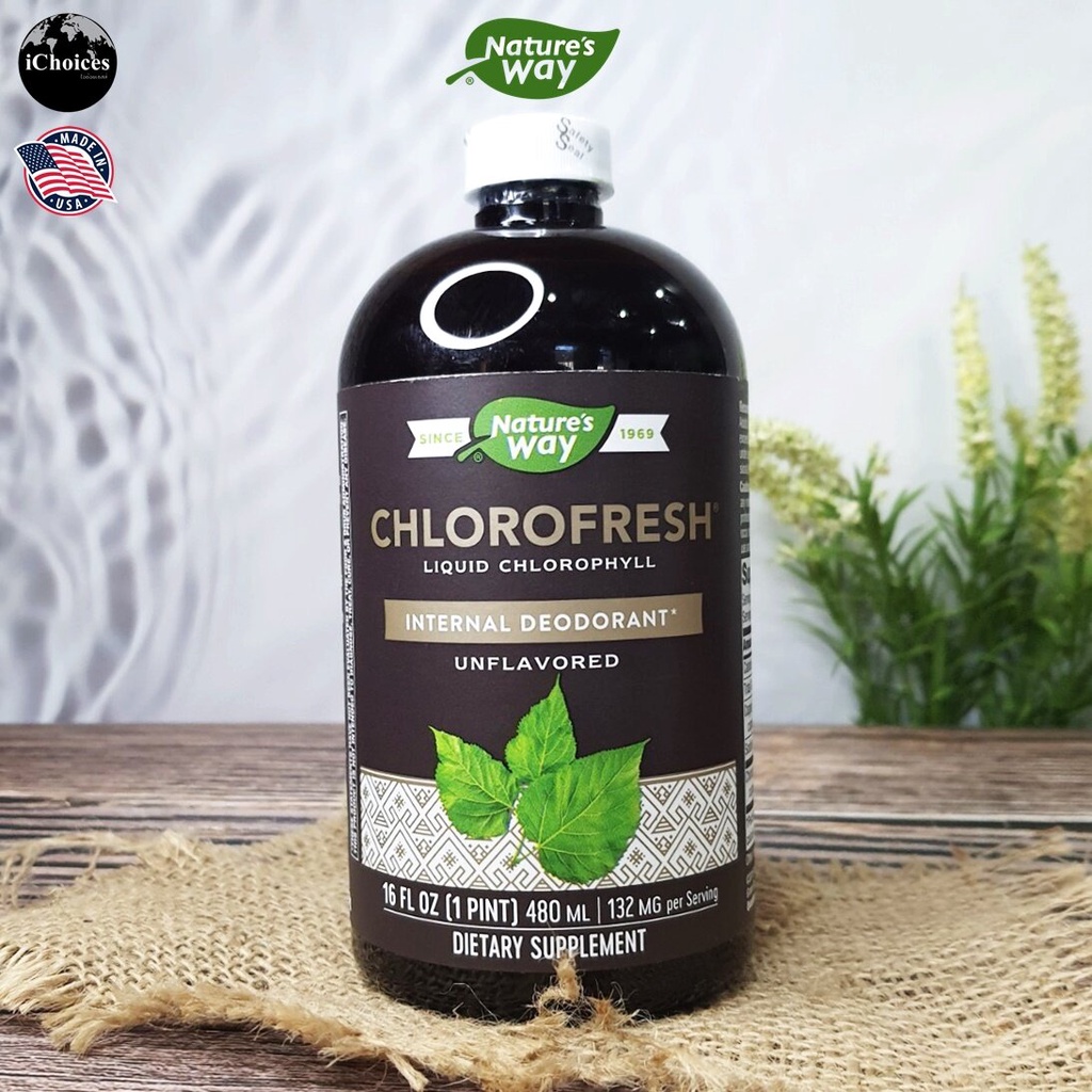 คลอโรเฟรช แบบน้ำ Nature's Way® Chlorofresh Liquid Chlorophyll 480 ml ...