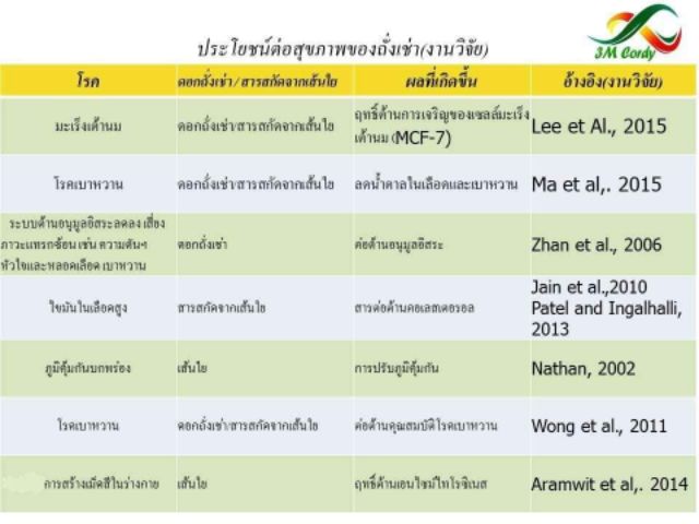 3m-cordy-ถังเช่าผสมสารสกัดเห็ดหลินจือ-และสารสกัดแปะก๊วย-3m-cordy-สามเอ็มคอร์ดี้