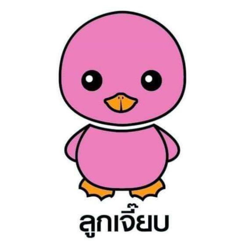 ลูกเจี๊ยบ-ฟองน้ำอนามัยbnโหลละ350บาทจัดส่งฟรี