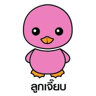 ลูกเจี๊ยบฟองน้ำอนามัยBN โหลละ350บาท ส่งฟรี