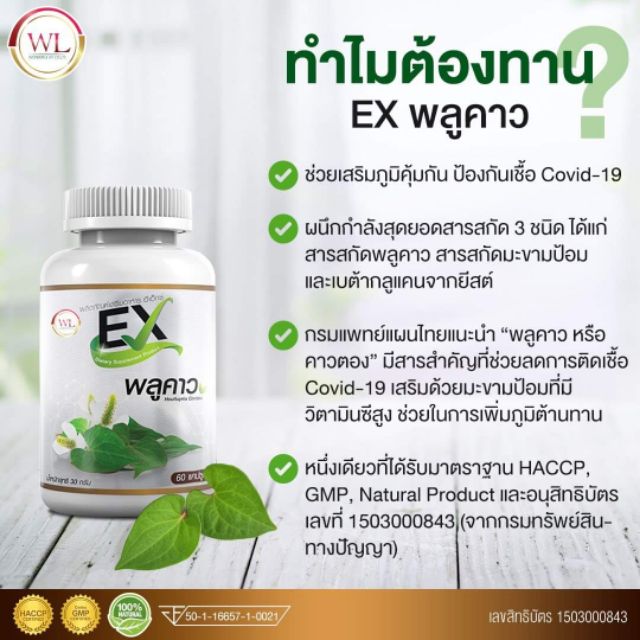 พลูคาว-ex-เสริมภูมิคุ้มกันให้กับร่างกาย