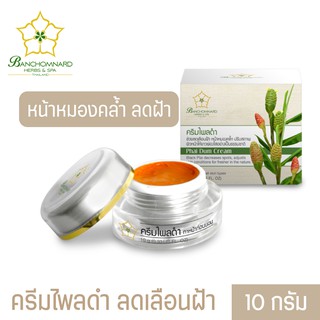 ครีมไพลดำ ขนาด 10 กรัม Black Night Cream 10 g. สารสกัดที่ได้จากไพลป่า ฝ้า กระ ผิวหน้าหมองคล้ำ ลดอาการอักเสบ