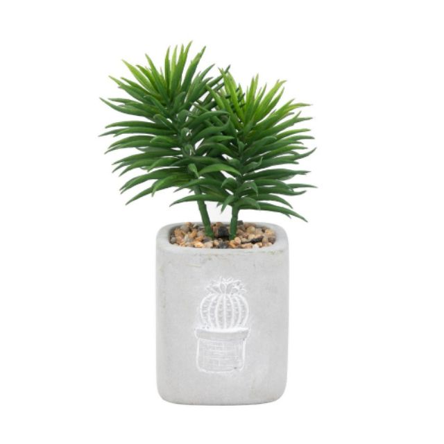 ต้นไม้ประดิษฐ์พร้อมกระถางปูนสไตล์ลอฟ-loft-cactus-botanical