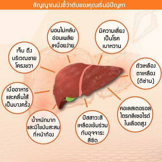 ส่งฟรี-เลซิติน-กิฟฟารีน-lecithin-ผสมแคโรทีนอยด์-และวิตามินอี-ดูแลสุขภาพตับได้-100-บำรุงตับ-ไขมันเกาะตับ