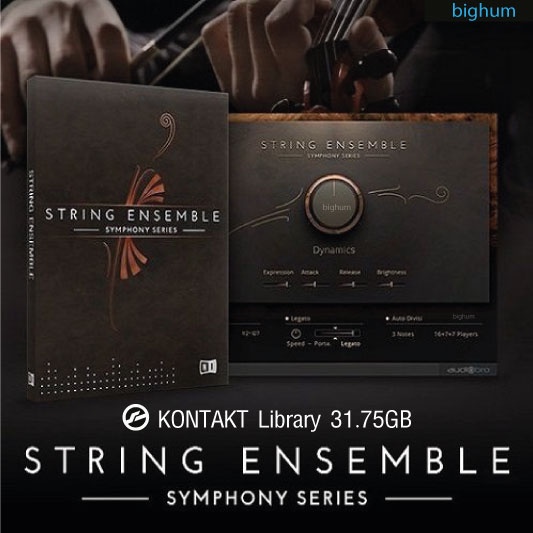 ราคาและรีวิวKONTAKT Symphony Series - String Ensemble